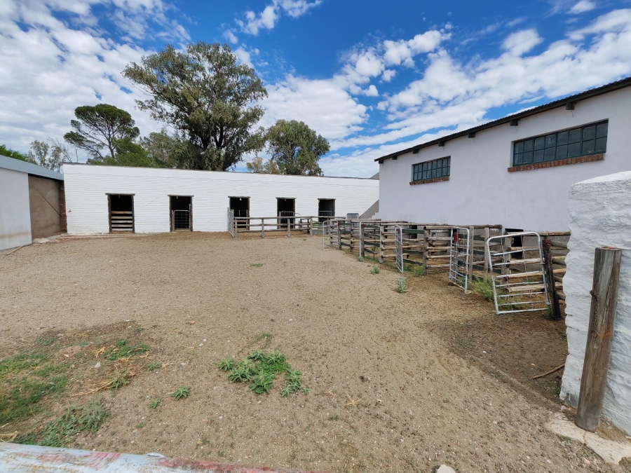 4 Bedroom Property for Sale in Steynsburg Eastern Cape
